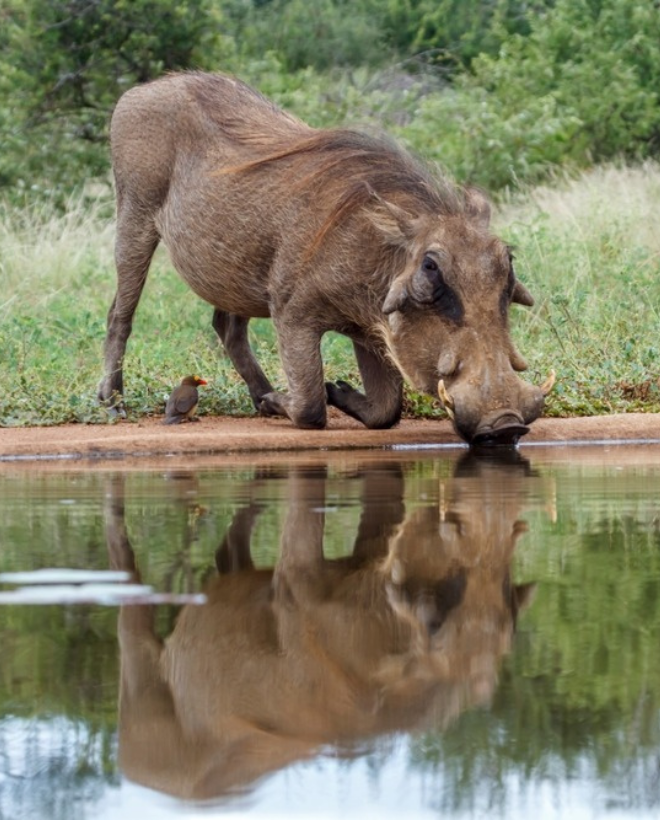 Tours Company In Kenya