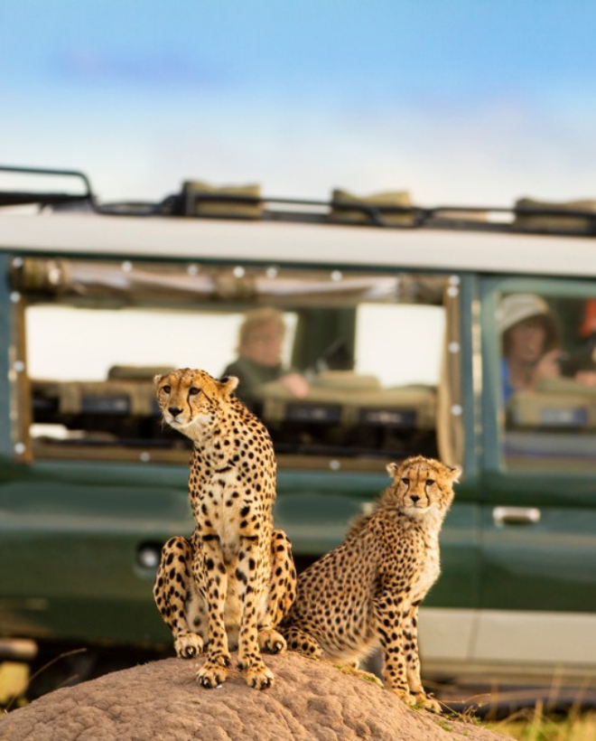 3 Day Amboseli Flight Safari Package