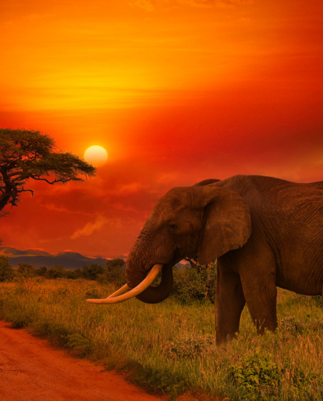7 Day Kenya to Tanzania Safari Package