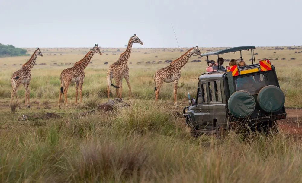 5 Days Kenya and Tanzania Safari Package