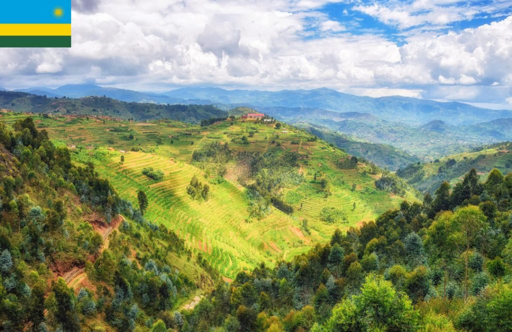 Unforgettable Rwanda Safari Tours to Book in 2025