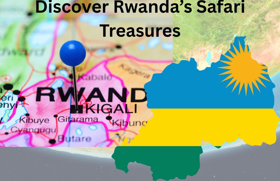 Unforgettable Rwanda Safari Tours to Book in 2025