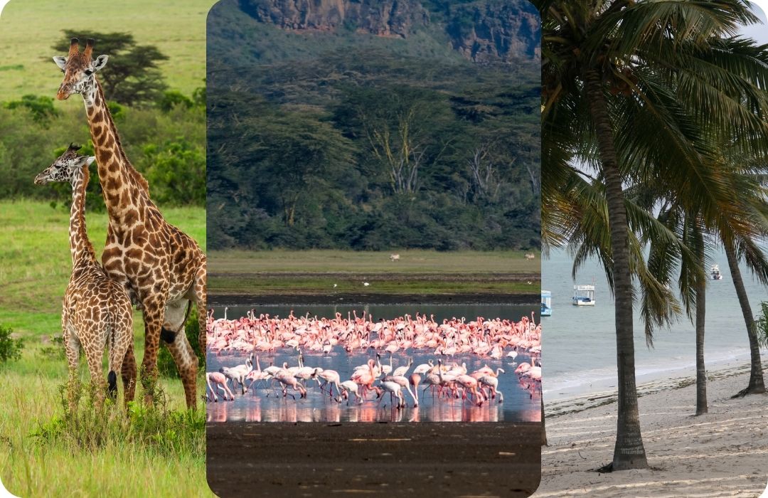 Kenya’s Leading Safari and Tours Company