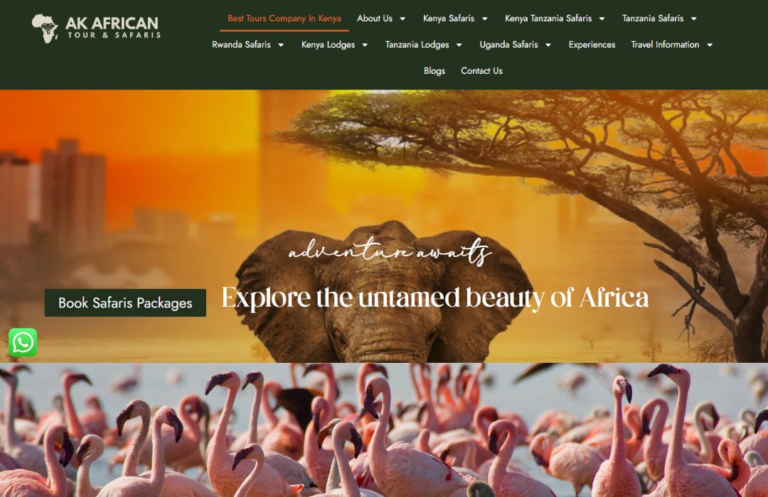 Affordable safari tour company in Kenya