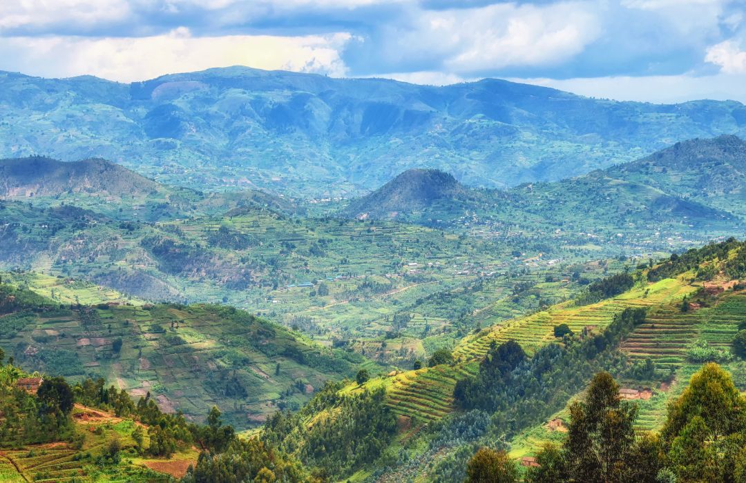 Explore Rwanda Safari Wonders