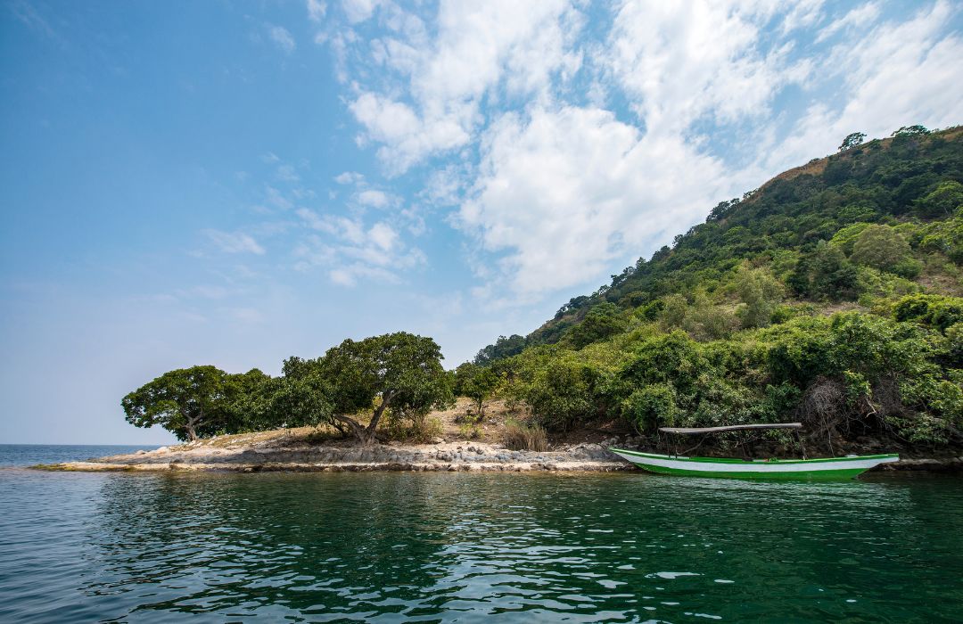 Unforgettable Rwanda Safari Tours