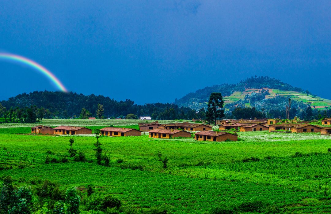 Unforgettable Rwanda Safari Tours