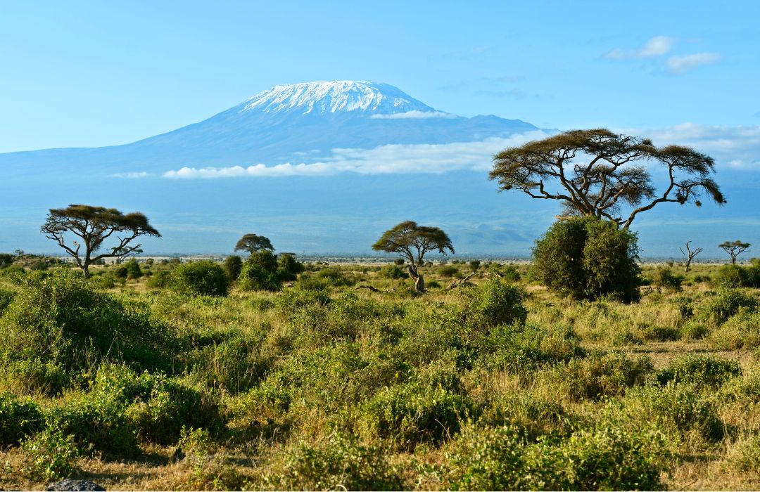 One week Kenya safari itinerary