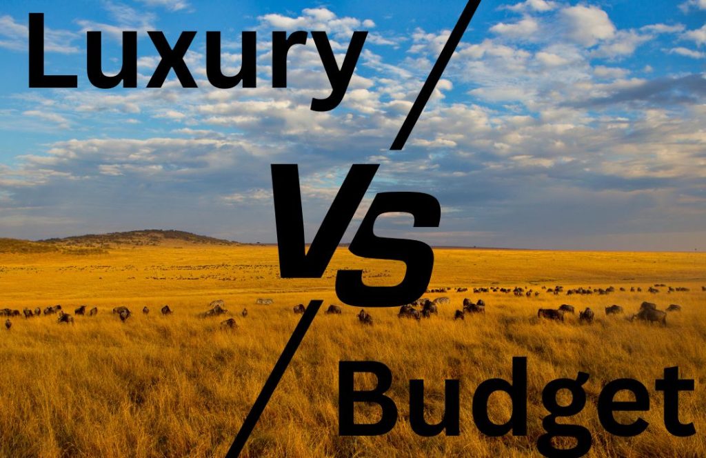 affordable Kenya Tanzania safari packages