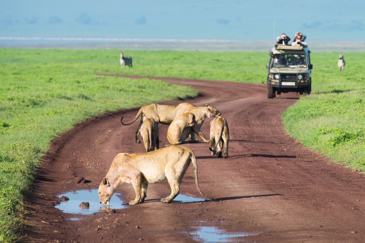 best East African safari tour packages