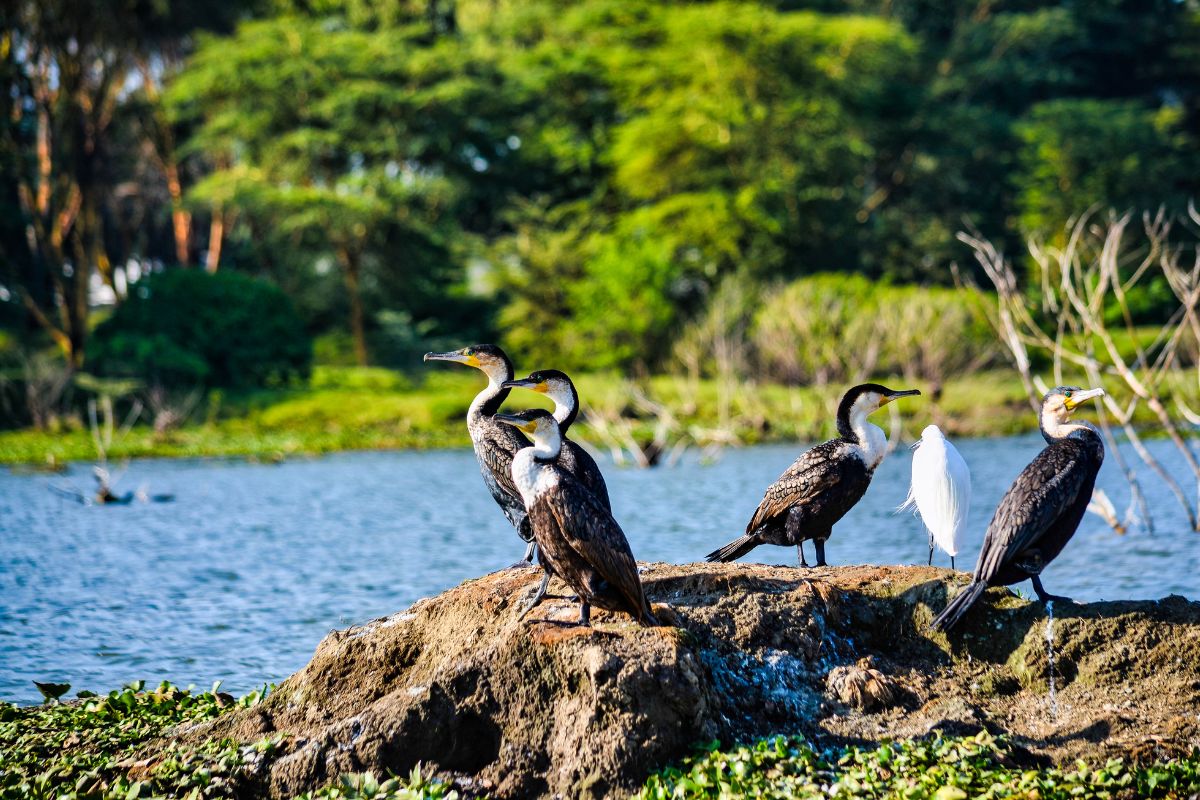 Affordable tour operators in Kenya 