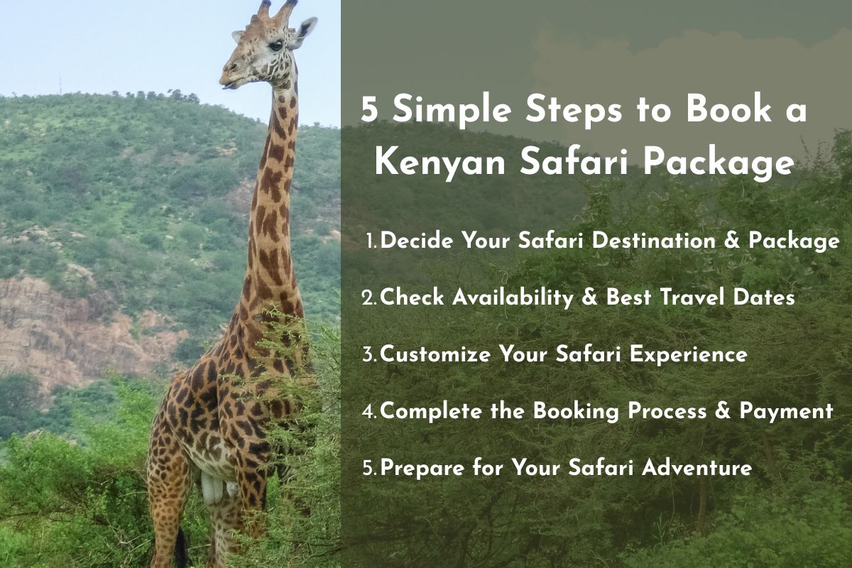 Book a Kenyan Safari Package