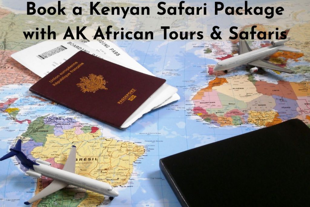 ook a Kenyan Safari Package with AK African Tours & Safaris
