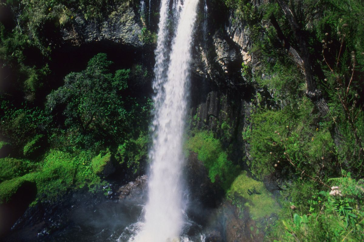 Hidden Safari Destinations in Kenya-Aberdare National Park
