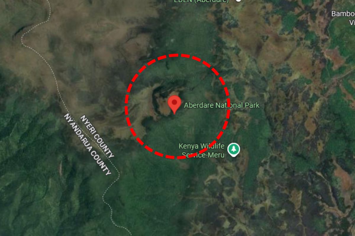 Hidden Safari Destinations in Kenya-Aberdare National Park