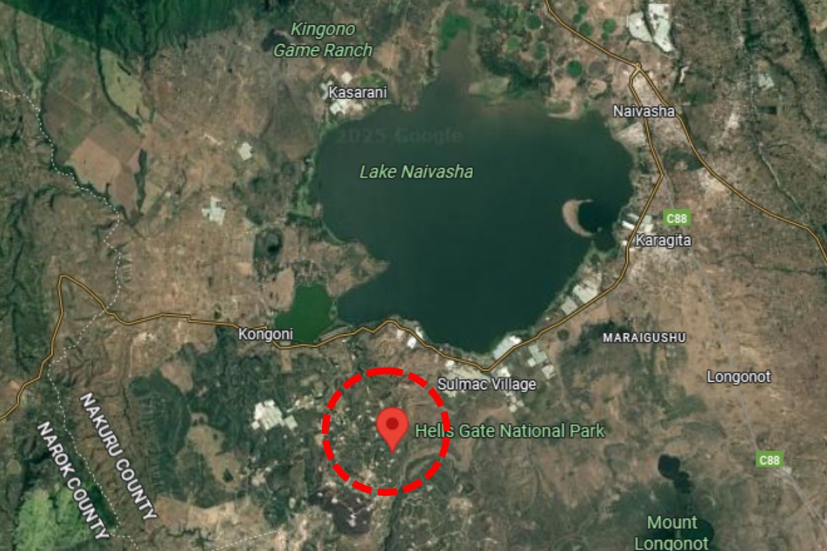 Hidden Safari Destinations in Kenya-Lake Naivasha 