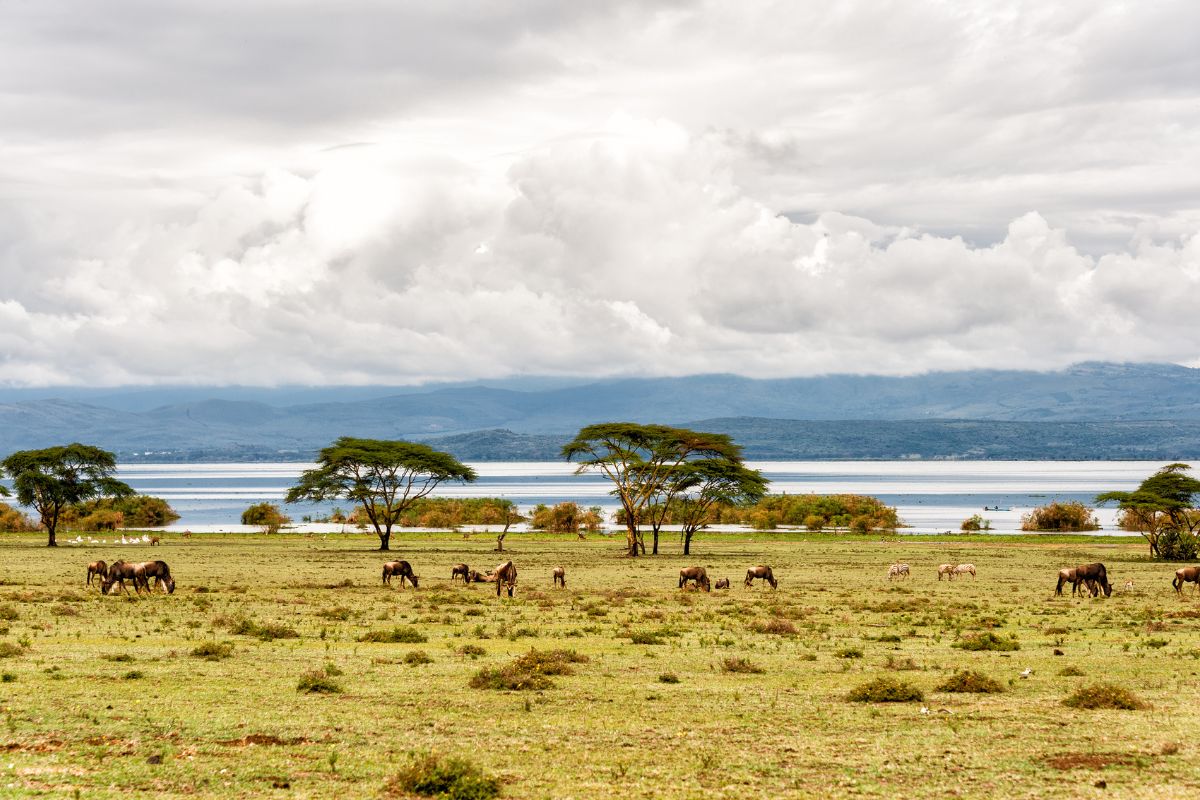 Hidden Safari Destinations in Kenya-Lake Naivasha