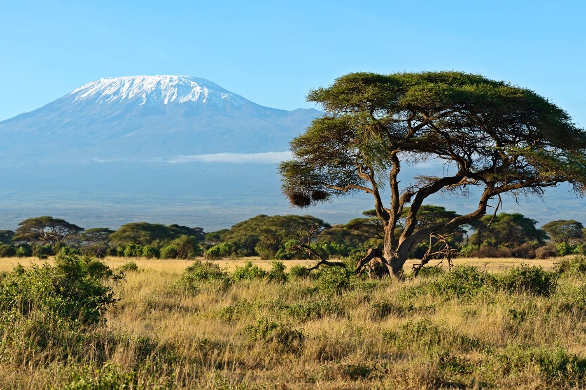 5-Day Diani Safari Package 