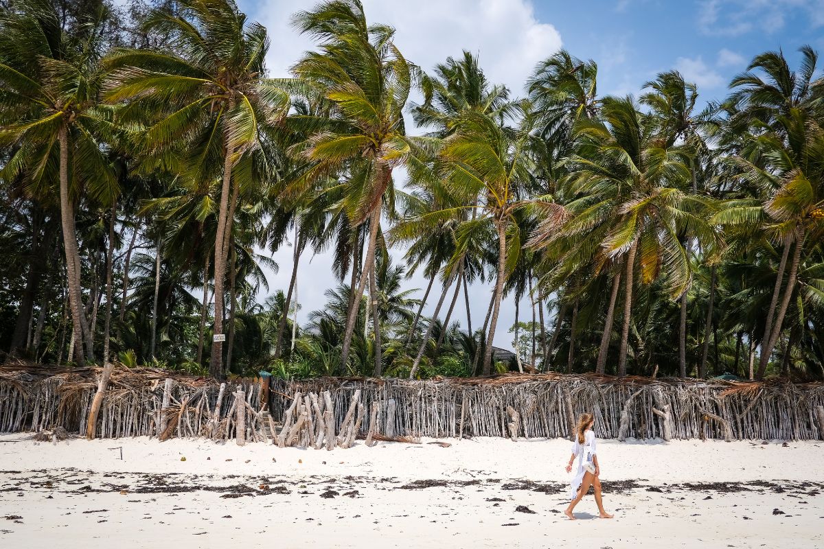 5-Day Diani Safari Package 