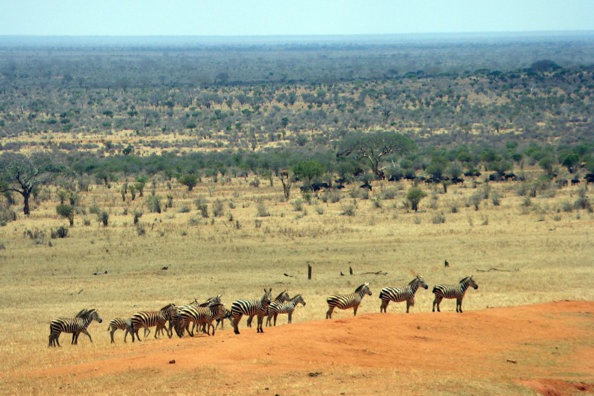 Best Christmas Holiday Packages in Kenya 2025 