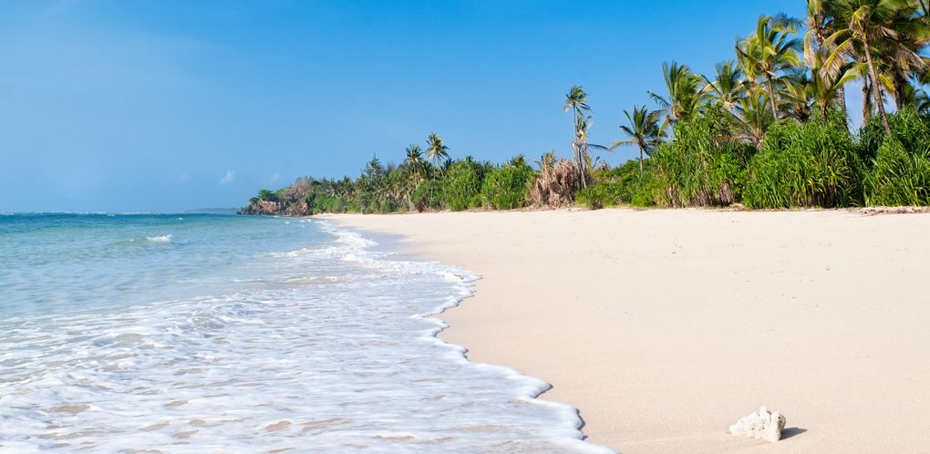 Safaris from Mombasa