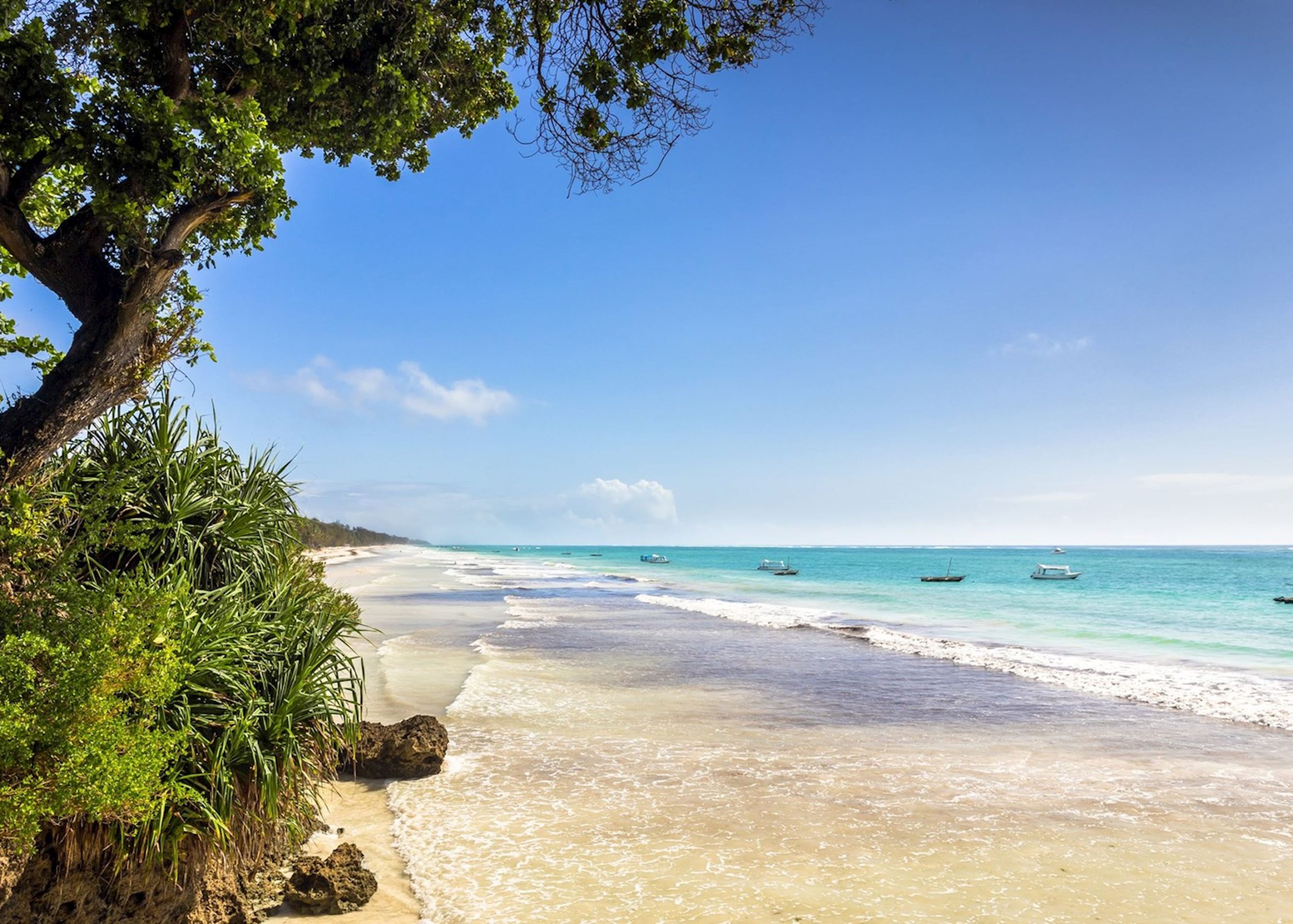 Safaris from Diani Beach