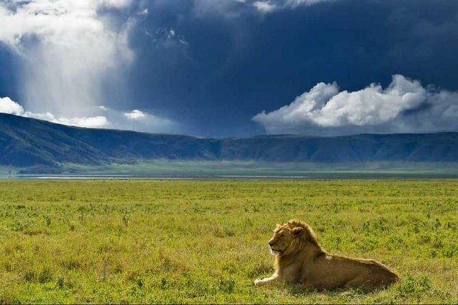 6 Day Kenya Safari: Tsavo West, Amboseli, Naivasha & Masai Mara
