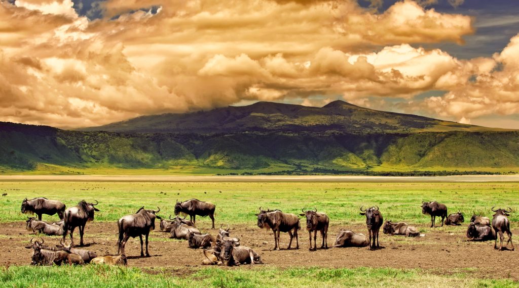 6 Day Kenya Safari: Tsavo West, Amboseli, Naivasha & Masai Mara