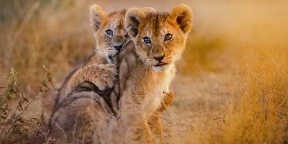 1 Day Tsavo East Safari from Mombasa