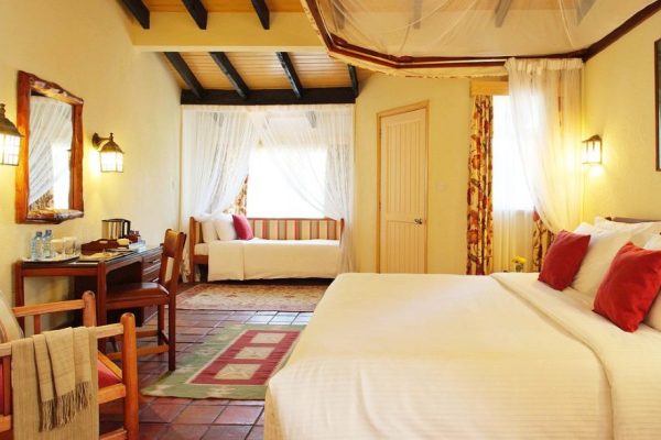 Safari Lion Hill Lake Nakuru Safari with AK African Tours and Safaris Safari Lion Hill Lake Nakuru Safari with AK African Tours and Safaris