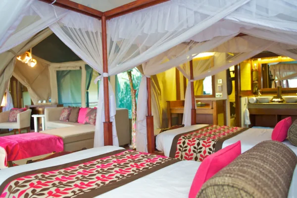 Samburu Interopids Camp
